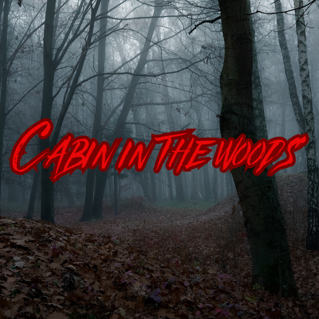 CABIN IN THE WOODS ESCAPE ROOM wilmington nc